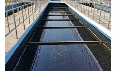 DWA - Chain Flight Sludge Scraper Systems