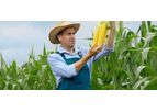 Plant Protection Products