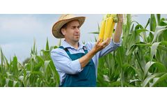 Plant Protection Products