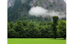 Zoetic - Reverses Carbon