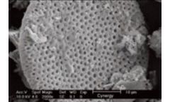 Celite Cynergy - Model 200HS - Beer stabilising Diatomaceous Earth Filtration Techniques