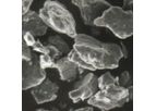 Dye Decoloration and Degradation