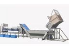 Fengxiang - Carrot Raddish Cassava Sorting Processing Line Machine