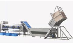 Fengxiang - Carrot Raddish Cassava Sorting Processing Line Machine