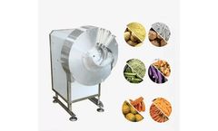 Fengxiang - Model FC-501 - Automatic Vegetable Fruit Papaya Carrot Potato Strips Shredder Shredding Slicing Machine