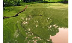 Pond Management Services