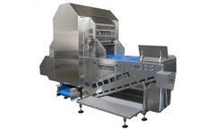 Model DSI-2P (2 ROWS) - Lettuce Coring Wedging Machine