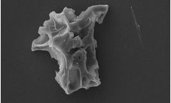 Expanded Perlite - Economical Insulation Product