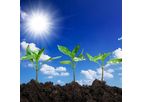 Amol - Horticulture Soil