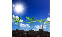 Amol - Horticulture Soil