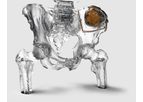 Dicom to Print - 3D Medical Image Processing Software