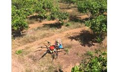 Precision Drone Spraying