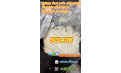 5CL ADB - Model 5CL ADB - CAS 2709672-58-0 CAS 2504100-70-1 CAS 137350-66-4