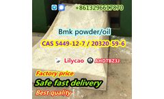 High Conversion 99% Pure CAS 5449-12-7 BMK glycidate with The Best Quality Telegram/Signal:+86 13296617870
