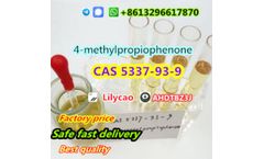 Model CAS 5337-93-9 - 4mpf CAS 5337-93-9 4-Methylpropiophenone