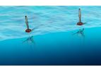 Sigma Wave Energy Converter (WEC)
