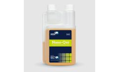 Model Nano-Q10 - Antioxidant Supplement For Horses In Training