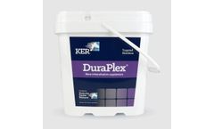 Model DuraPlex - Bone Mineralization Supplement