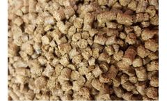 Dried Distillers Grains