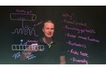 Precision microbes in pets for better gut health - Video