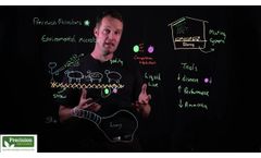 Precision microbes Environmental microbes - Video