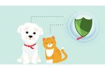Precision Microbes pet Probiotics - Video