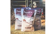 Calf Milk Replacers