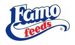 Proper Nutrition and Management Services