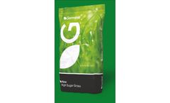 Aber - Model Red 5 HSG Quality Silage - Grass And Red Clover Seed Mixture