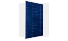 Contendre - Model P Series - Multicrystalline Solar Module