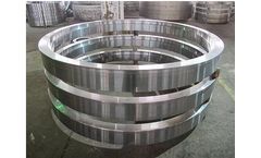 Rongcheng - Model S355nl A105 - Ring Forging Flanges for Heavy Duty Applications