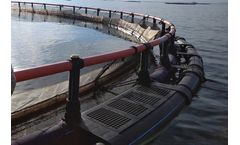 STARAQ - Fish Cage System
