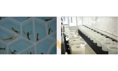 Aquahive System