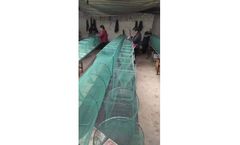 Hatch Hives - Harvesting Nets