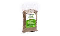 Insect Protein