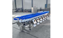 Yellow Croaker Weight Sorting Machine/ Fish Weight Sorter