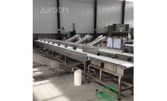 Model CWS-400-8 Double Channel - Double Channel Fish Sorting Machine