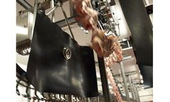 IHFood - Model ClassifEYE - Quality Inspection and Grading of Chickens
