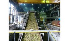 Kay-Iron - Sugar Plant