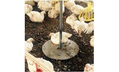 Technocon - Hanging Bird Weigher Plate