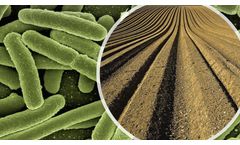 BIOMap2Soil - Soil Services