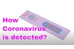 Fight COVID19 Animation : How Coronavirus is Detected ? - Video