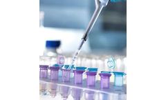 Phornano - Research & Development to  Implementation & Safety Service