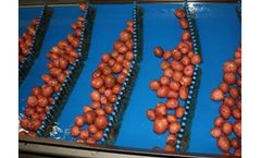 Ammeraal Beltech - Flexam High Impact Resistant Belts