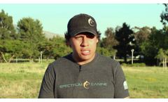 Spectrum Canine, Private Dog Training Bay Area, (510) 629-9498 - Free Consultation. - Video