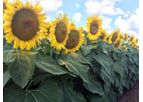 Seed Technologies