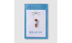 Model BlueAmp 2X - PCR Mix w/ FluoDye