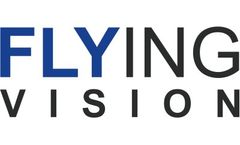 Visual and Thermographic Inspection Services