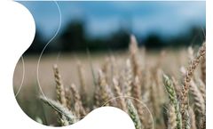 Biologicals Products for Row Crop
