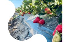 Biologicals Products for Fruit & Vegetable Biologicals